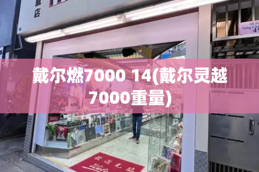 戴尔燃7000 14(戴尔灵越7000重量)-第1张图片-星选测评