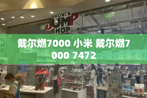 戴尔燃7000 小米 戴尔燃7000 7472-第1张图片-星选测评