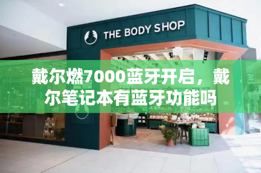 戴尔燃7000蓝牙开启，戴尔笔记本有蓝牙功能吗-第1张图片-星选测评