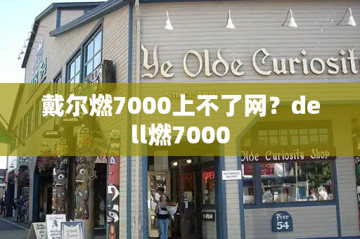 戴尔燃7000上不了网？dell燃7000-第1张图片-星选测评