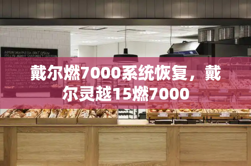 戴尔燃7000系统恢复，戴尔灵越15燃7000-第1张图片-星选测评
