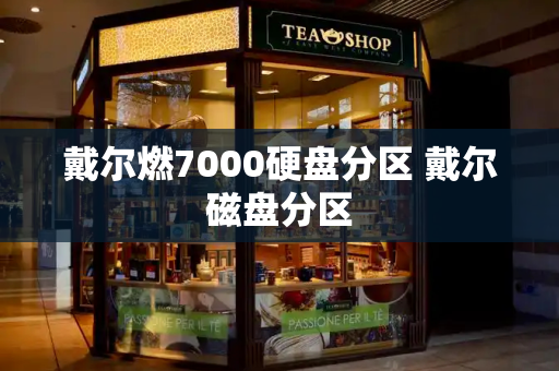 戴尔燃7000硬盘分区 戴尔磁盘分区-第1张图片-星选测评