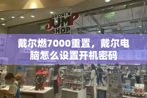 戴尔燃7000重置，戴尔电脑怎么设置开机密码-第1张图片-星选测评