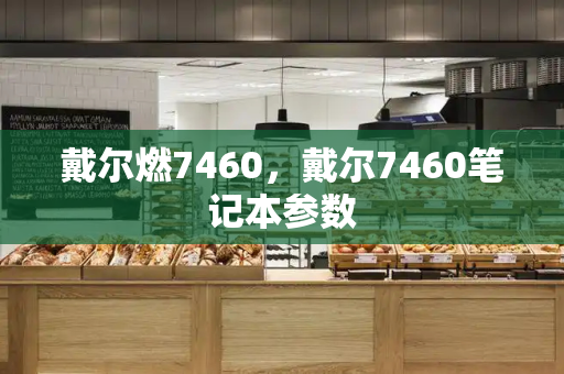 戴尔燃7460，戴尔7460笔记本参数