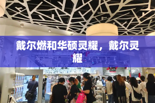 戴尔燃和华硕灵耀，戴尔灵耀-第1张图片-星选测评