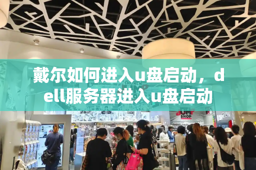 戴尔如何进入u盘启动，dell服务器进入u盘启动-第1张图片-星选测评