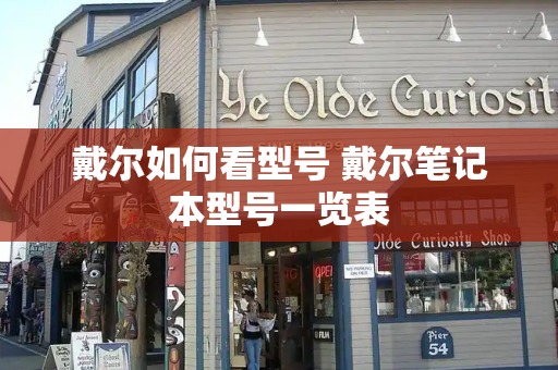 戴尔如何看型号 戴尔笔记本型号一览表-第1张图片-星选测评