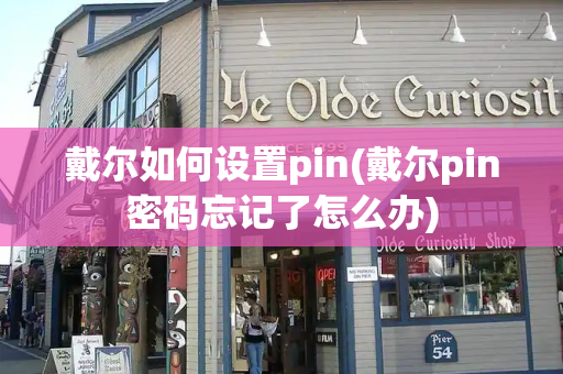 戴尔如何设置pin(戴尔pin密码忘记了怎么办)