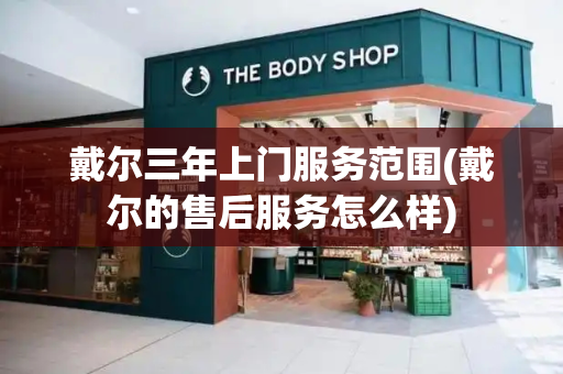 戴尔三年上门服务范围(戴尔的售后服务怎么样)-第1张图片-星选测评