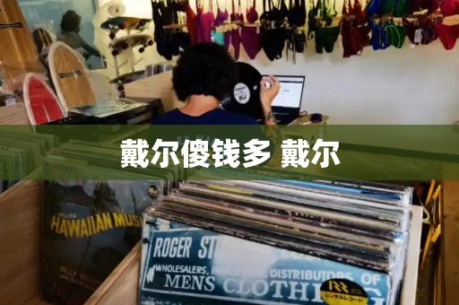 戴尔傻钱多 戴尔-第1张图片-星选测评