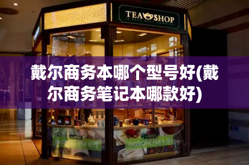 戴尔商务本哪个型号好(戴尔商务笔记本哪款好)