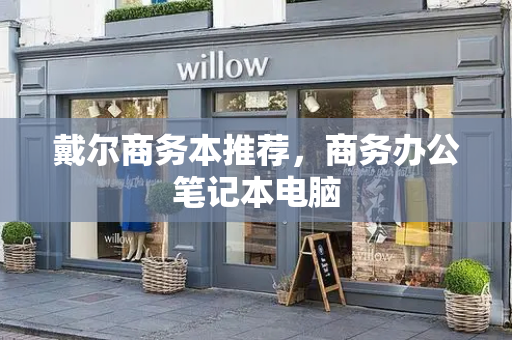 戴尔商务本推荐，商务办公笔记本电脑-第1张图片-星选测评
