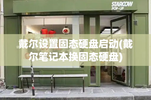 戴尔设置固态硬盘启动(戴尔笔记本换固态硬盘)-第1张图片-星选测评