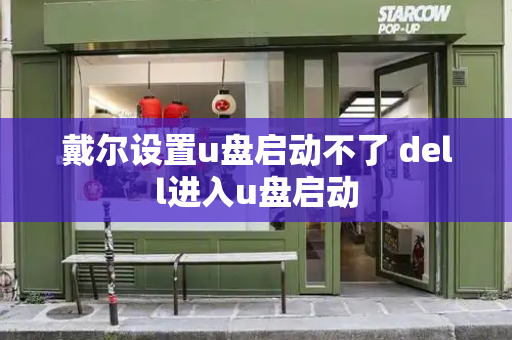 戴尔设置u盘启动不了 dell进入u盘启动