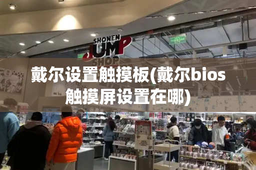 戴尔设置触摸板(戴尔bios触摸屏设置在哪)