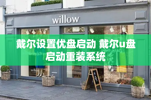 戴尔设置优盘启动 戴尔u盘启动重装系统