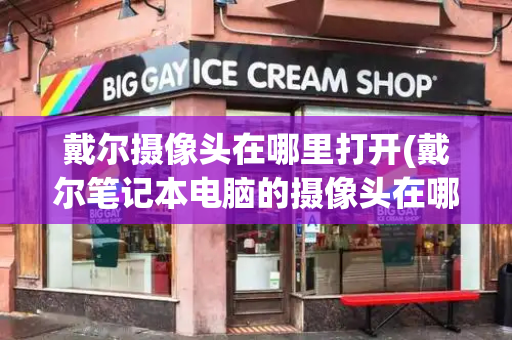 戴尔摄像头在哪里打开(戴尔笔记本电脑的摄像头在哪里打开)-第1张图片-星选测评