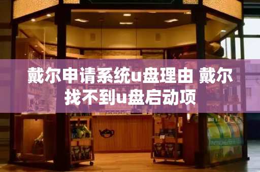 戴尔申请系统u盘理由 戴尔找不到u盘启动项