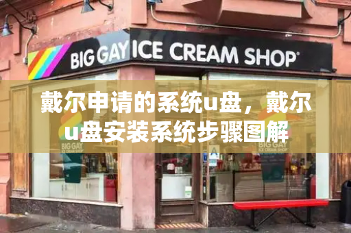 戴尔申请的系统u盘，戴尔u盘安装系统步骤图解-第1张图片-星选测评