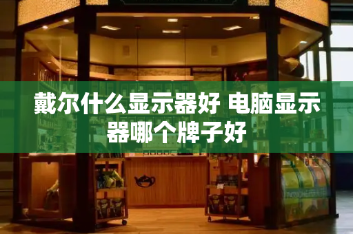 戴尔什么显示器好 电脑显示器哪个牌子好