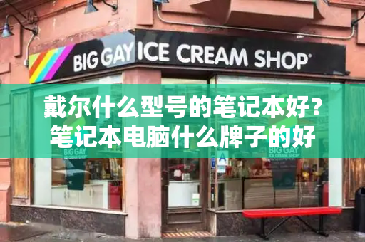 戴尔什么型号的笔记本好？笔记本电脑什么牌子的好-第1张图片-星选测评