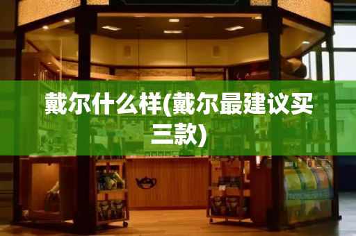 戴尔什么样(戴尔最建议买三款)-第1张图片-星选测评