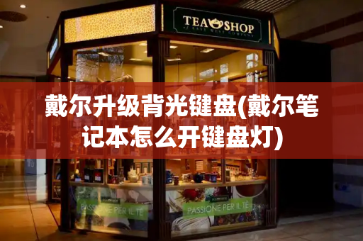 戴尔升级背光键盘(戴尔笔记本怎么开键盘灯)-第1张图片-星选测评