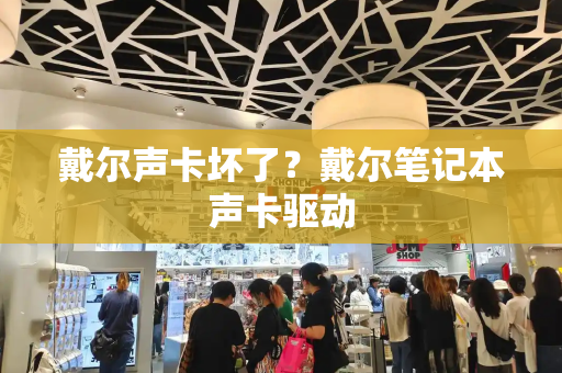 戴尔声卡坏了？戴尔笔记本声卡驱动