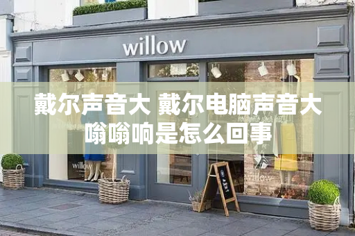 戴尔声音大 戴尔电脑声音大嗡嗡响是怎么回事