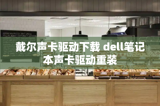 戴尔声卡驱动下载 dell笔记本声卡驱动重装-第1张图片-星选测评