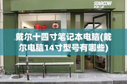 戴尔十四寸笔记本电脑(戴尔电脑14寸型号有哪些)