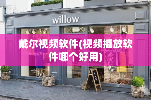 戴尔视频软件(视频播放软件哪个好用)-第1张图片-星选测评
