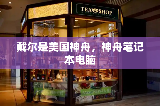 戴尔是美国神舟，神舟笔记本电脑-第1张图片-星选测评