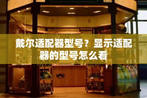 戴尔适配器型号？显示适配器的型号怎么看-第1张图片-星选测评
