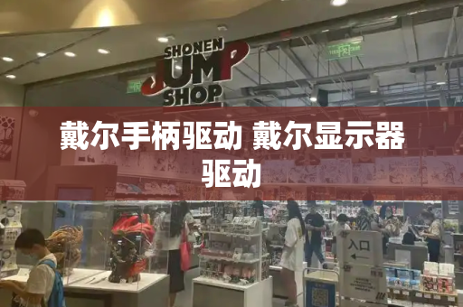 戴尔手柄驱动 戴尔显示器驱动