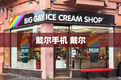 戴尔手机 戴尔-第1张图片-星选测评
