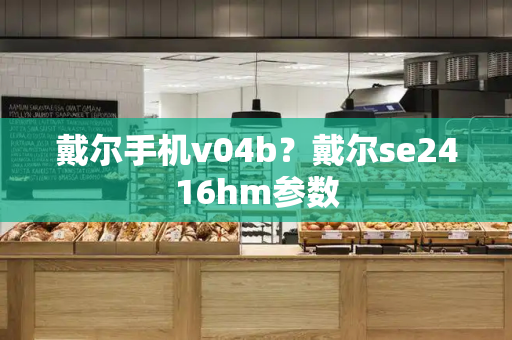 戴尔手机v04b？戴尔se2416hm参数