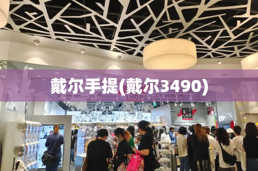 戴尔手提(戴尔3490)