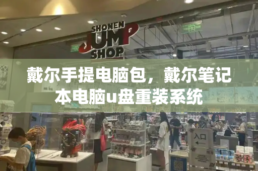 戴尔手提电脑包，戴尔笔记本电脑u盘重装系统