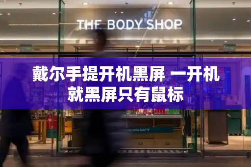 戴尔手提开机黑屏 一开机就黑屏只有鼠标