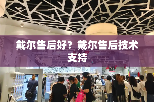 戴尔售后好？戴尔售后技术支持-第1张图片-星选测评