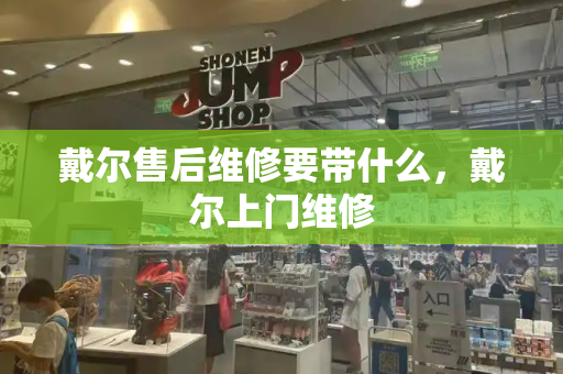 戴尔售后维修要带什么，戴尔上门维修-第1张图片-星选测评