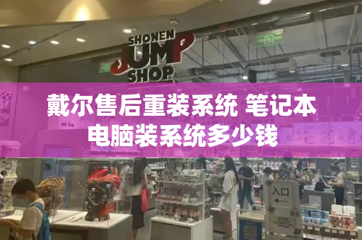 戴尔售后重装系统 笔记本电脑装系统多少钱