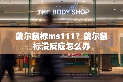 戴尔鼠标ms111？戴尔鼠标没反应怎么办