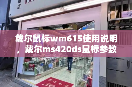 戴尔鼠标wm615使用说明，戴尔ms420ds鼠标参数