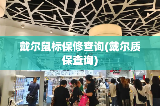 戴尔鼠标保修查询(戴尔质保查询)