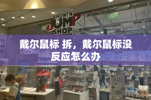 戴尔鼠标 拆，戴尔鼠标没反应怎么办-第1张图片-星选测评