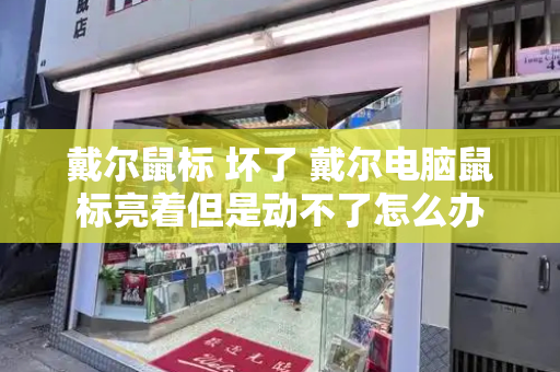 戴尔鼠标 坏了 戴尔电脑鼠标亮着但是动不了怎么办