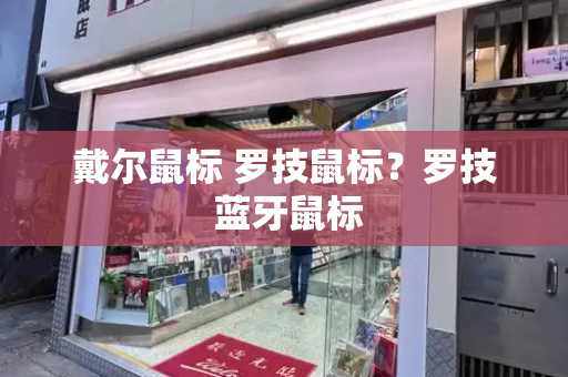 戴尔鼠标 罗技鼠标？罗技 蓝牙鼠标