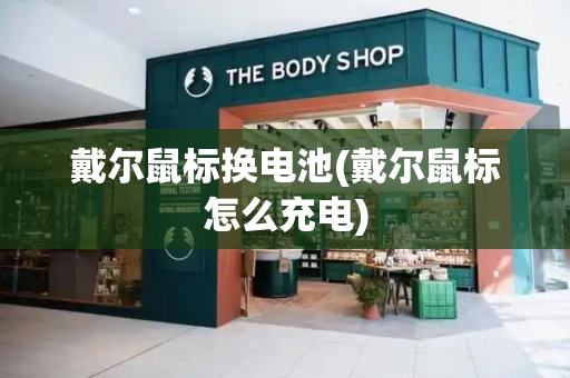 戴尔鼠标换电池(戴尔鼠标怎么充电)